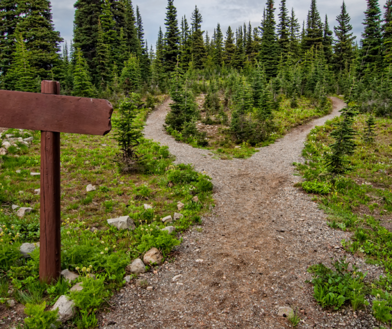 Here I am, standing at a crossroad